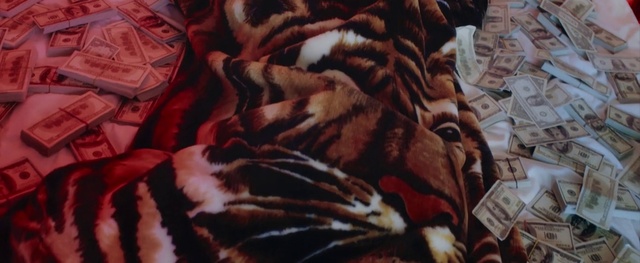 Video Reference: Bengal tiger, Fur, Tiger, Textile, Fictional character, Art, Flesh, Indoor, Cat, Bed, Laying, White, Dog, Sleeping, Lying, Black, Holding, Table, Bird, Stuffed, Playing, Room, Abstract, Painting, Text, Bedclothes