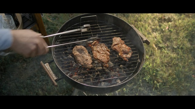 Video Reference: barbecue, grilling, outdoor grill, barbecue grill, roasting, cooking, grillades, meat, kitchen appliance, churrasco food, Person