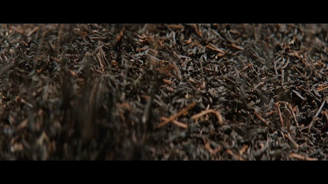 Video Reference: Brown, Soil, Grass, Plant