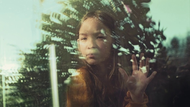 Video Reference: Hair, Hairstyle, Tree, Portrait, Cool, Plant, Sunlight, Adaptation, Long hair, Photography