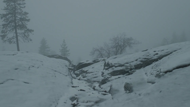 Video Reference: snow, winter, freezing, geological phenomenon, winter storm, frost, blizzard, ridge, tree, sky, Person