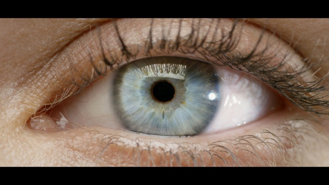 Video Reference: eye, eyebrow, eyelash, close up, macro photography, iris, organ, human body, forehead, mouth