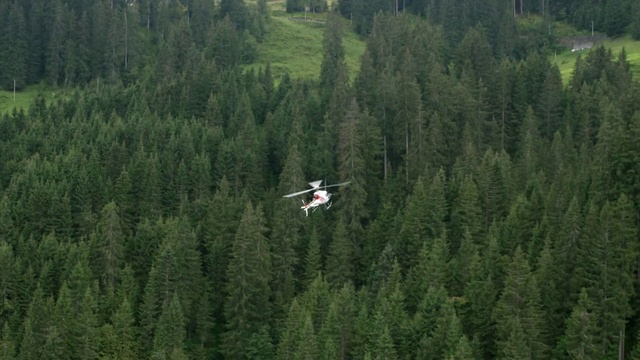 Video Reference: Vegetation, Natural environment, Forest, Biome, Nature reserve, Tree, Tropical and subtropical coniferous forests, Vehicle, Hill station, Plant