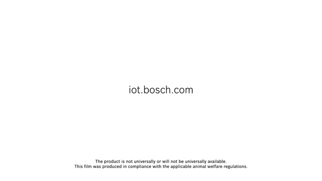 Video Reference: Text, Font, Line