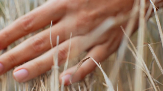 Video Reference: Nail, Finger, Hand, Straw, Grass family, Close-up, Manicure, Plant