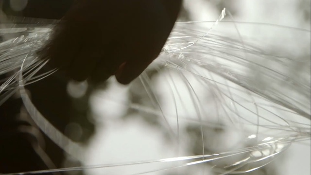 Video Reference: Hair, White, Black-and-white, Water, Whiskers, Monochrome photography, Hand, Monochrome, Photography, Long hair