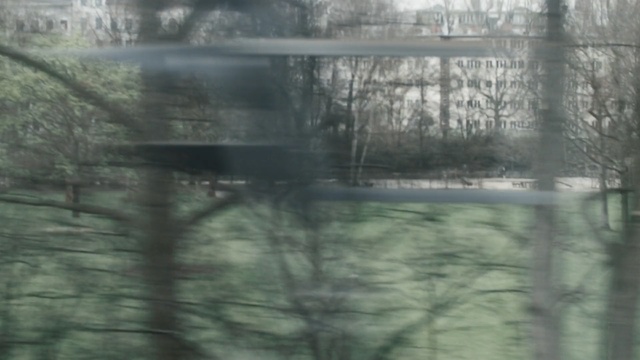 Video Reference: water, reflection, nature, body of water, tree, bayou, waterway, ecosystem, wetland, swamp