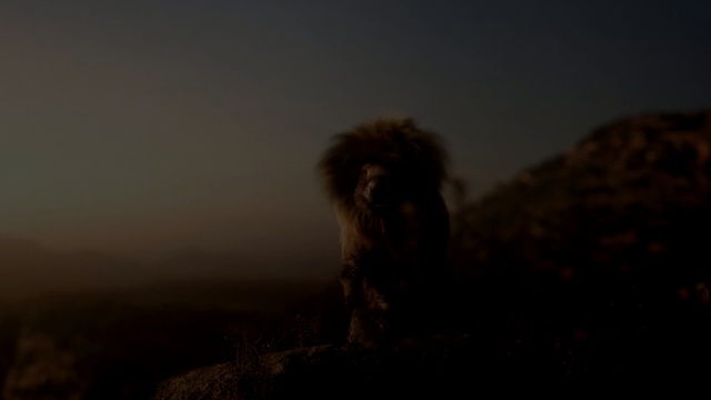 Video Reference: Sky, Atmospheric phenomenon, Darkness, Morning, Atmosphere, Cloud, Landscape, Photography, Sunlight, Sporting Group