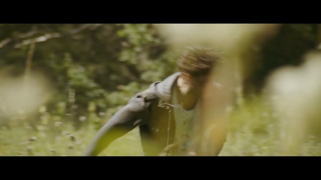 Video Reference: fauna, mammal, ecosystem, vertebrate, wildlife, grass, sunlight, beak, tree, bird