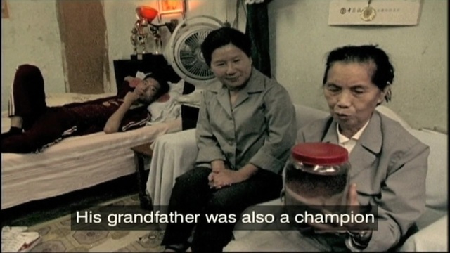 Video Reference: photo caption, product, Person