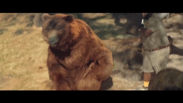Video Reference: Bear, Grizzly bear, Brown bear, Organism, Fur, Carnivore, Wildlife, Zoo
