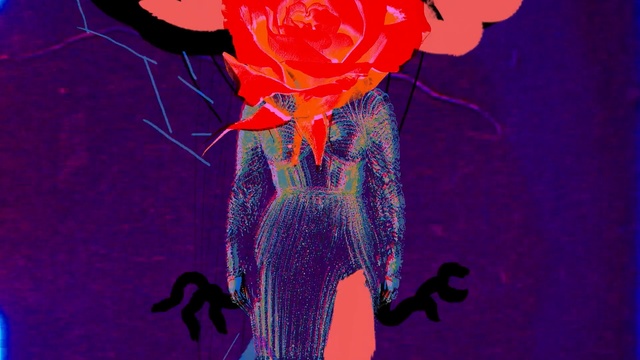 Video Reference: red, pink, flower, art, plant, organism, performance, petal, computer wallpaper, event, Person