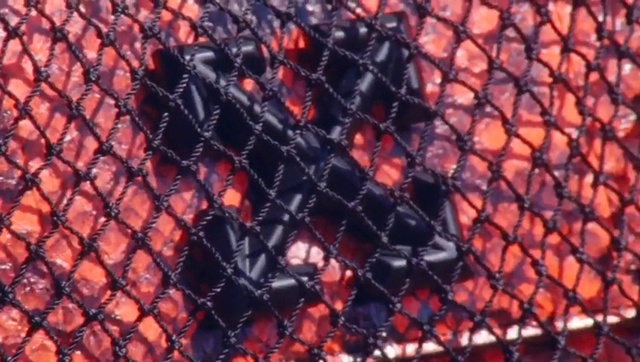 Video Reference: Net, Red, Chain-link fencing, Mesh, Wire fencing, Geological phenomenon, Fictional character, Metal