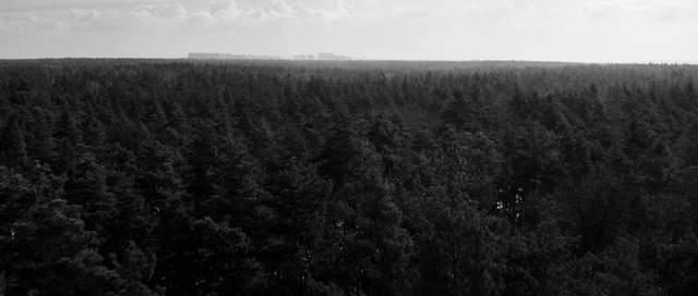 Video Reference: Black, Field, Monochrome photography, Atmospheric phenomenon, Black-and-white, Sky, Tree, Crop, Photography, Horizon