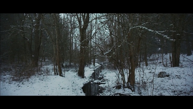 Video Reference: kid, boy, snow, winter, woodland, tree, nature, forest, freezing, woody plant, ecosystem, atmosphere