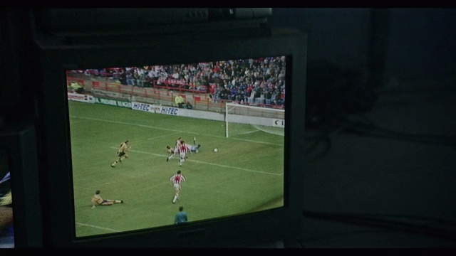 Video Reference: Sport venue, Stadium, Display device, Player, Football, Goal, Team sport, Grass, Ball game, Soccer, Game, Monitor, Playing, Indoor, Television, Person, Video, Screen, Man, Front, Watching, Standing, Holding, Boy, Large, Baseball, Room, People, Young, Swinging, Group, Cat, Living, Field, Woman, Ball, Wii, White, Sports equipment