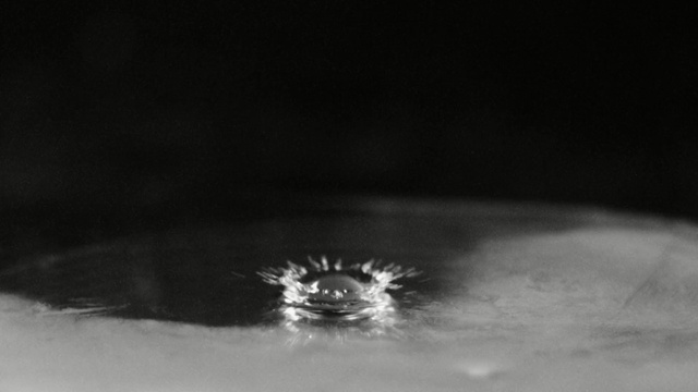 Video Reference: Water, Black, White, Black-and-white, Drop, Monochrome photography, Close-up, Monochrome, Still life photography, Water resources