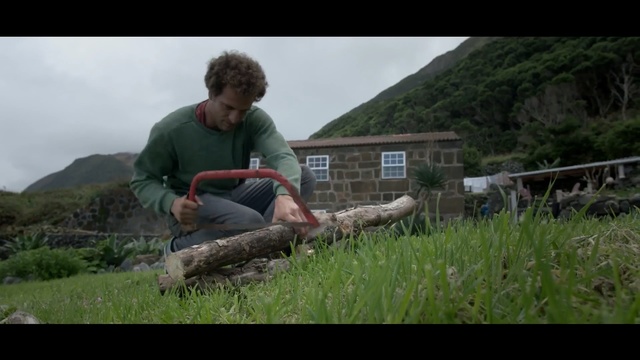 Video Reference: Nature, Grass, Green, Lawn, Sitting, Wilderness, Grassland, Meadow, Pasture, Rural area