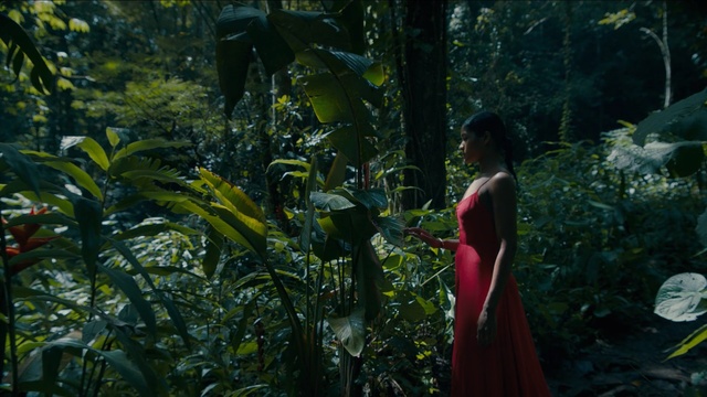 Video Reference: woman, girl, red dress, nature, green, vegetation, ecosystem, forest, jungle, plant, rainforest, leaf, flora, Person