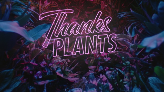 Video Reference: purple, computer wallpaper, neon, graphics, event, font, nightclub, world, rave