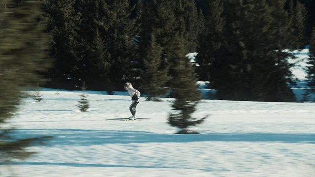 Video Reference: Snow, Winter, Skiing, Recreation, Outdoor recreation, Winter sport, Ski, Tree, Sports, Individual sports