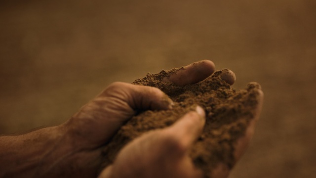 Video Reference: hand, finger, soil, macro photography, rock