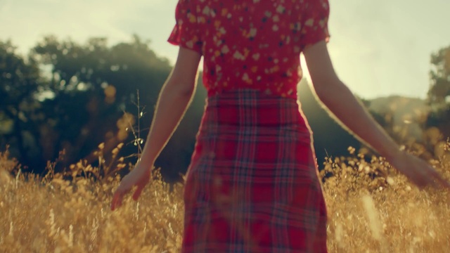 Video Reference: People in nature, Tartan, Pattern, Clothing, Plaid, Textile, Design, Fashion, Dress, Grass family