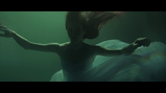 Video Reference: Underwater, Organism, Photography, Cg artwork, Screenshot, Fictional character