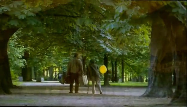 Video Reference: Tree, Nature, Green, Yellow, Woodland, Light, Natural environment, Woody plant, Leaf, Sunlight, Person