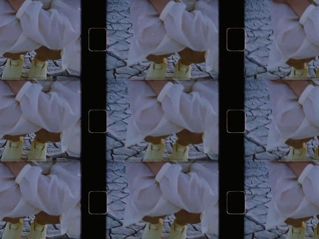 Video Reference: White, Petal, Textile, Plant, Flower, Magnolia