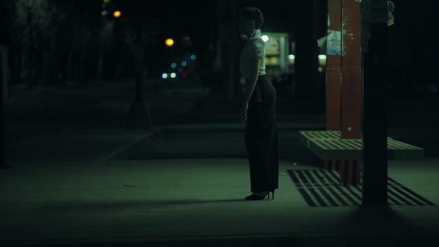 Video Reference: green, night, darkness, light, street light, snapshot, atmosphere, lighting, shadow, midnight, Person