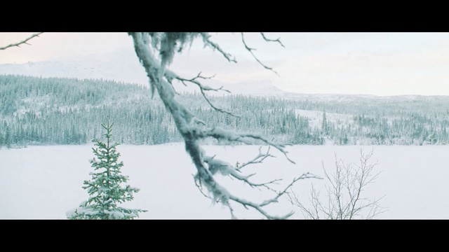 Video Reference: Nature, Natural landscape, Tree, Winter, Atmospheric phenomenon, Sky, Natural environment, Wilderness, Branch, Snow