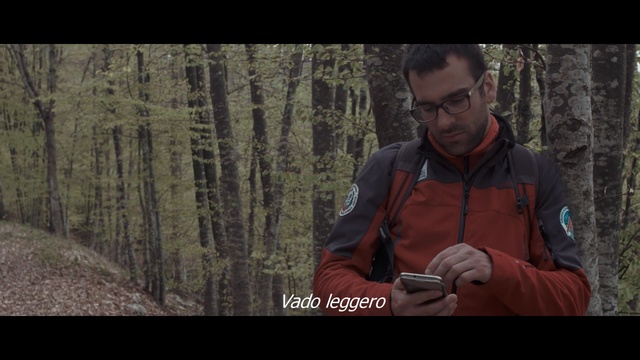 Video Reference: nature, tree, wilderness, woody plant, adventure, outdoor recreation, screenshot, forest, biome, recreation