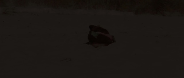 Video Reference: black, atmosphere, ecosystem, darkness, sky, light, geological phenomenon, screenshot, morning, night