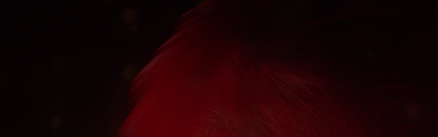 Video Reference: Red, Black, Maroon, Light, Orange, Darkness, Pink, Magenta, Close-up, Mouth