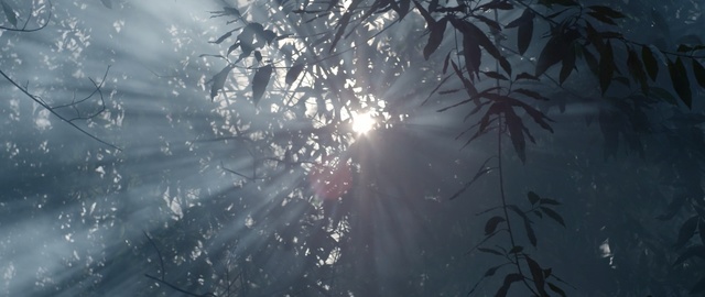 Video Reference: atmosphere, sky, water, tree, light, sunlight, branch, geological phenomenon, freezing, frost