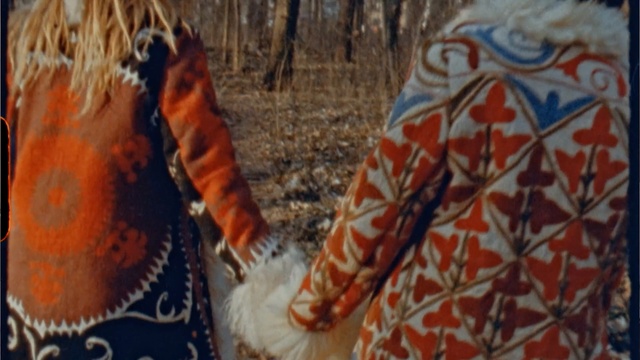 Video Reference: textile, pattern, tree