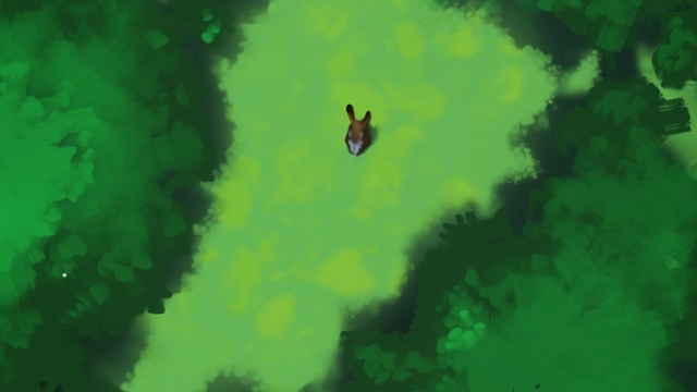 Video Reference: green, nature, sky, ecosystem, yellow, leaf, atmosphere, biome, grass, sunlight