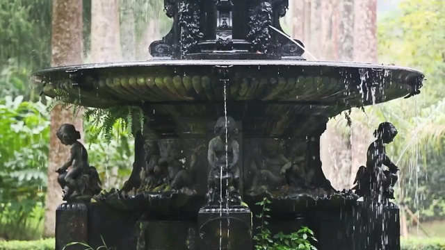 Video Reference: Fountain, Water, Tree, Water feature, Sculpture, Stone carving, Plant, Person