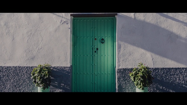 Video Reference: Green, Blue, Wall, Door, Line, Architecture, Facade, Grass, Window, Home door