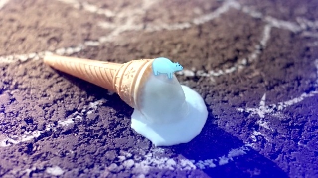 Video Reference: water, seashell, Person