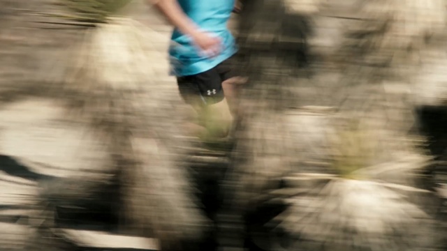Video Reference: person, tree, photography, plant, fun, girl, grass, sunlight, recreation, water