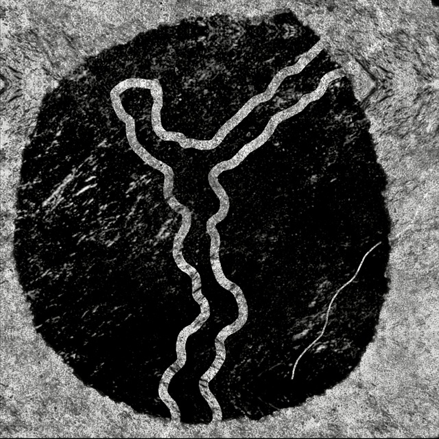 Video Reference: black and white, monochrome photography, monochrome, rock, organism, circle, font, Person