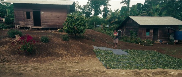 Video Reference: Yard, Garden, Property, Backyard, Land lot, Lawn, Grass, Residential area, House, Soil, Person