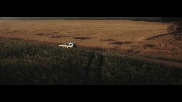 Video Reference: Field, Grassland, Plain, Natural environment, Ecoregion, Grass family, Prairie, Farm, Rural area, Horizon