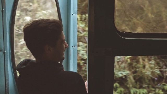 Video Reference: Tree, Window, Leaf, Adaptation, Tints and shades, Photography, Sunlight, Branch, Forest, Plant