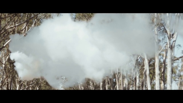 Video Reference: Nature, Atmospheric phenomenon, Grass family, Tree, Winter, Sky, Grass, Photography, Plant, Smoke