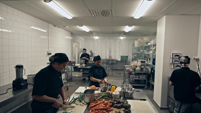 Video Reference: Room, Cook, Food, Chef, Cooking, Restaurant, Job, Meal, Cuisine, Interior design, Person