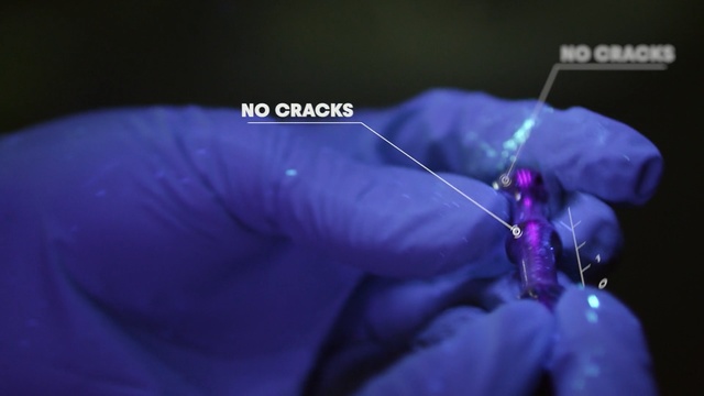 Video Reference: Violet, Purple, Joint, Arm, Organism, Organ, Eye, Hand, Plant, Muscle