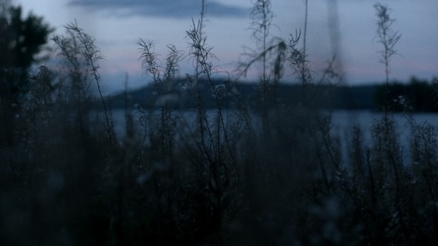 Video Reference: nature, water, sky, atmosphere, tree, reflection, forest, morning, mist, evening